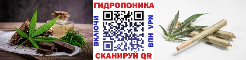OMG ССЫЛКА  Шадринск  Canna-Cookies марихуана 