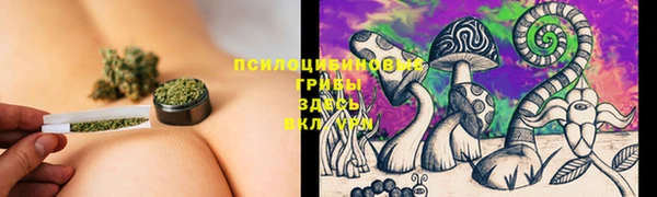 MDMA Беломорск