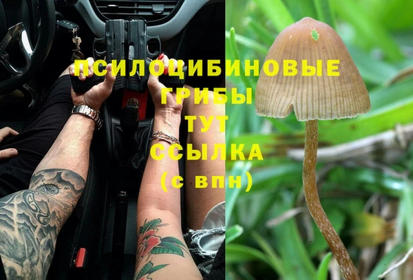 a pvp Туринск