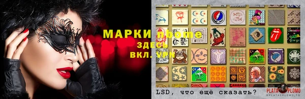 мяу мяу мука Тында