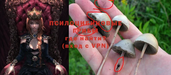 мяу мяу мука Тында