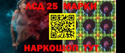 PSILOCYBIN Заводоуковск