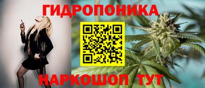 PSILOCYBIN Заводоуковск