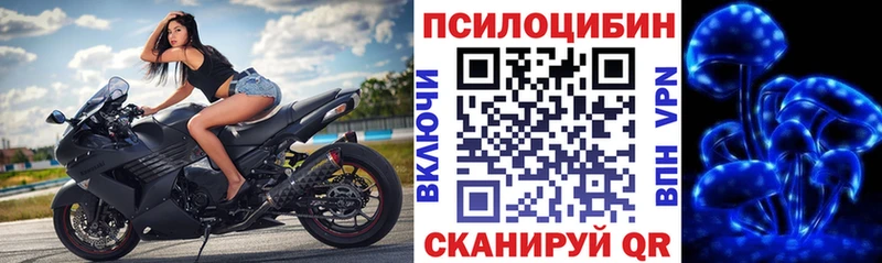Псилоцибиновые грибы GOLDEN TEACHER  Шадринск 