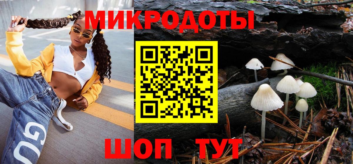 Шадринск  Галлюциногенные грибы GOLDEN TEACHER  где найти наркотики  Вход с VPN 