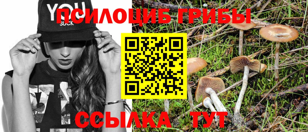 Галлюциногенные грибы GOLDEN TEACHER Шадринск