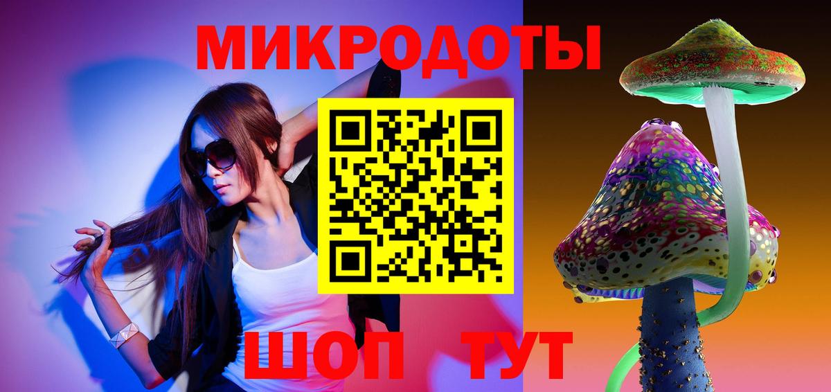 Галлюциногенные грибы Psilocybe  Шадринск  Галлюциногенные грибы прущие грибы 